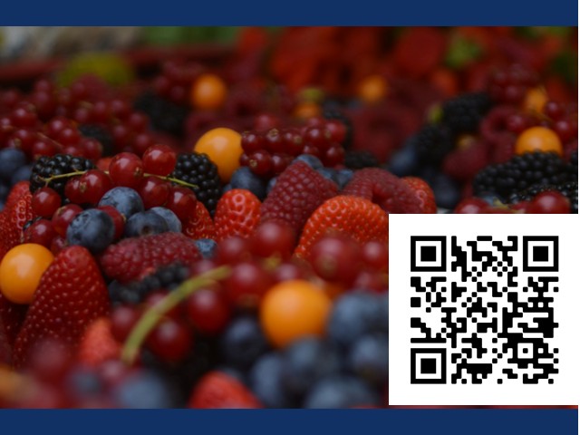 Spots are Still Open for the Small Fruits Workshop on July 23, 2026