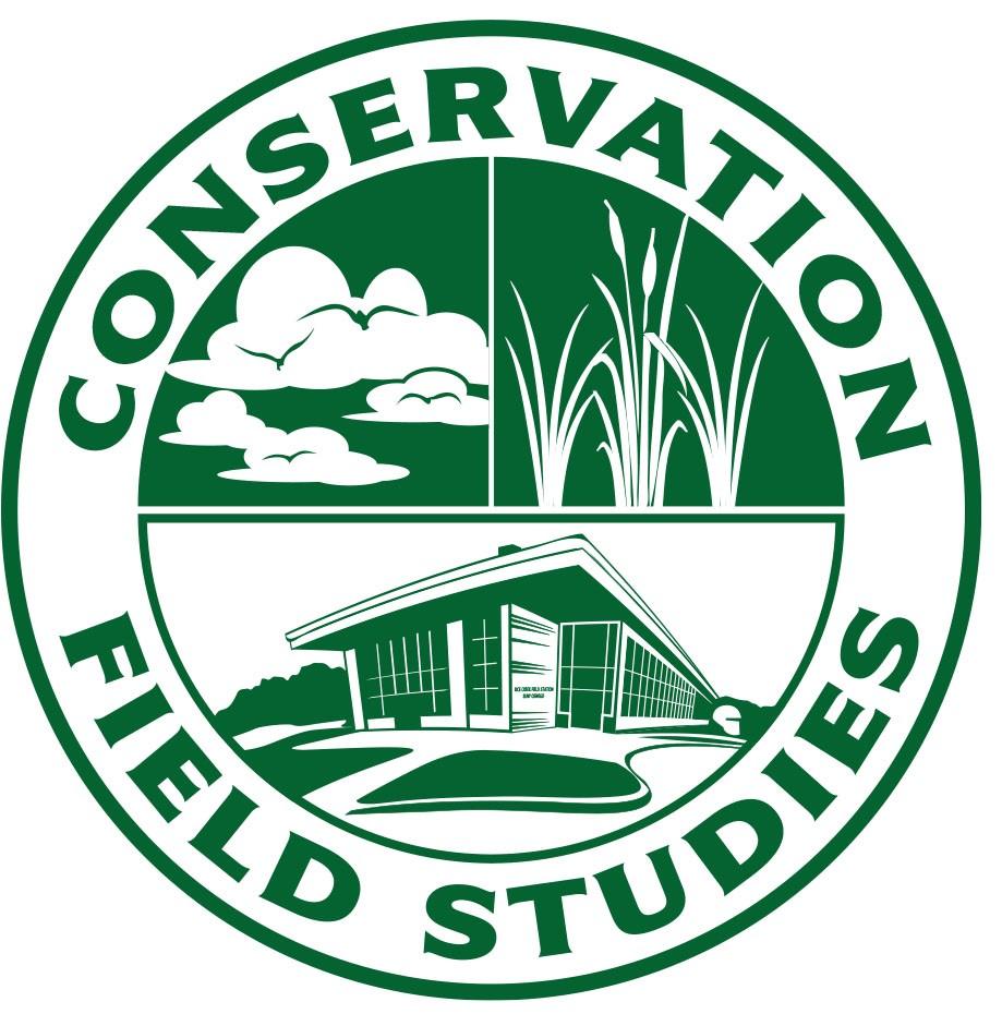 CFS logo