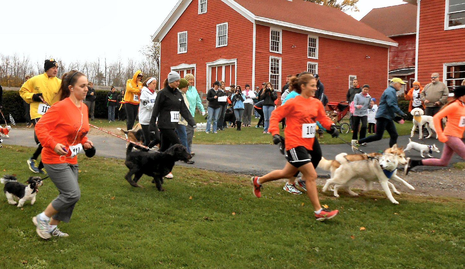 Dog 5k