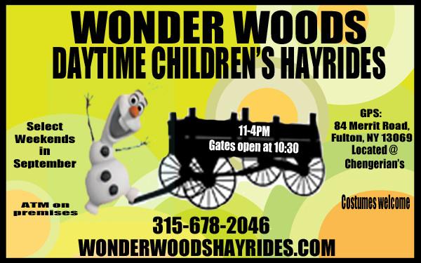 wonderwoods flyer 2015 Color Counter card