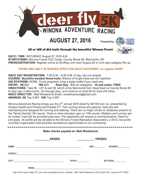 Deer Fly