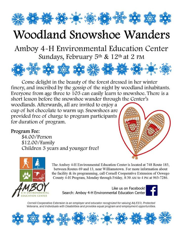 snowshoe February