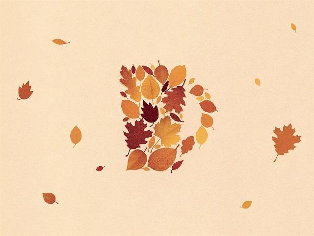 fall craft show