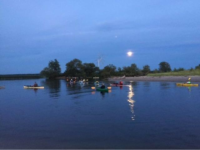 kayakers