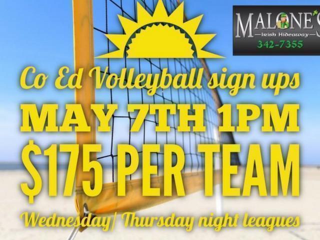 malones vball
