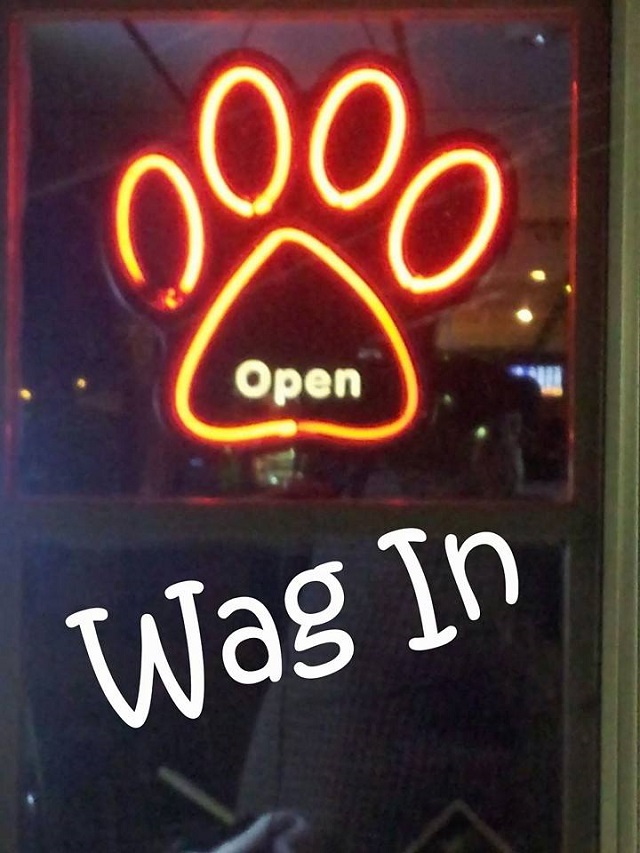 wag in bar christmas party
