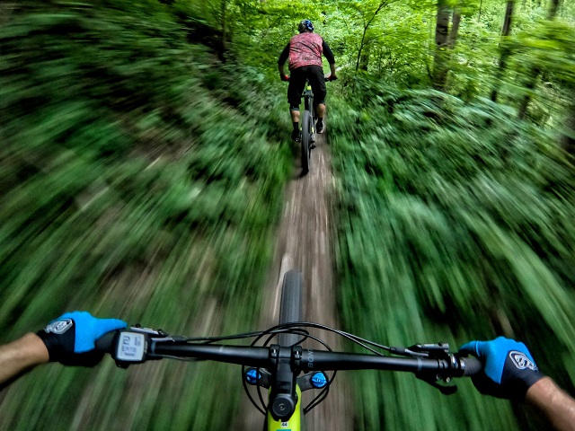Murdocks Great Bear Mountain Bike Ride