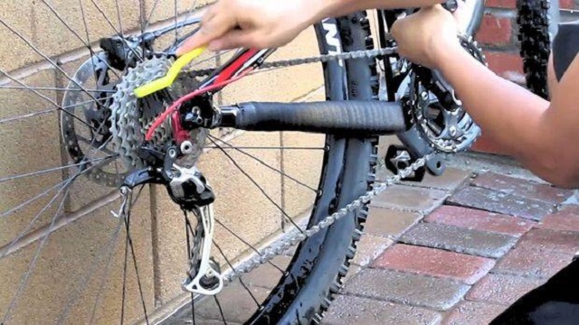 bike clinic murdocks