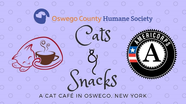 catws and snacks humane society