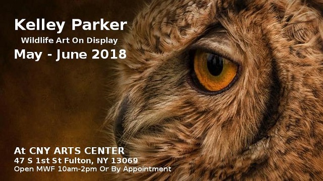 kelly parker wildlife art exhibit
