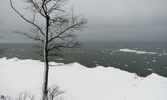 sterling nature center