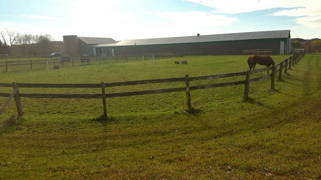 top gun equestrian center spring show