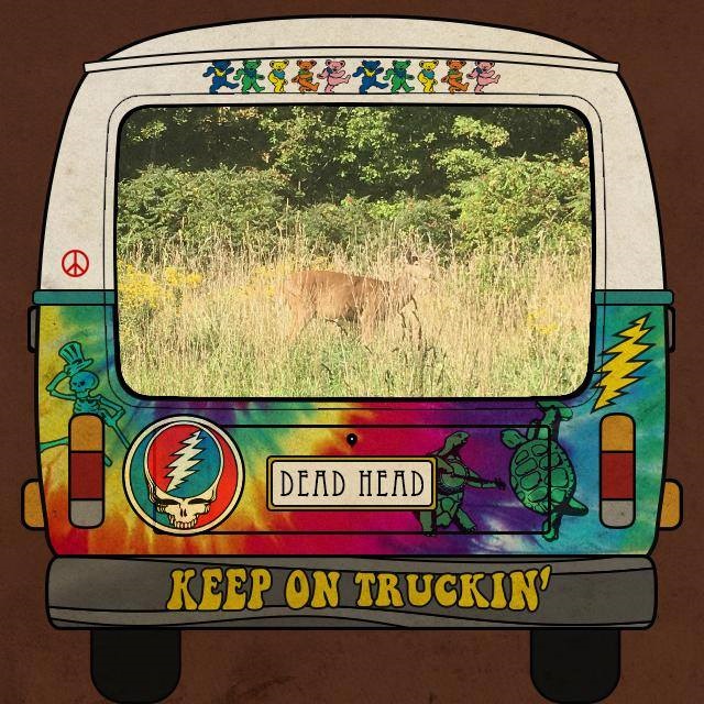 iHeart Oswego Old Deer Ensemble at The Cellar Door for Grateful Thursdays