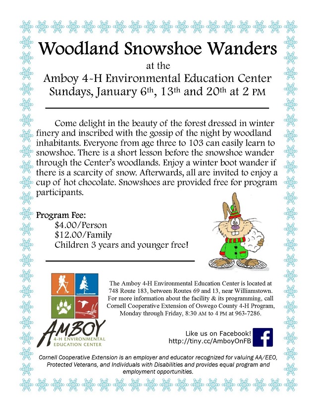 amoby 4h woodland snowshoe wanders