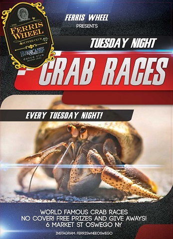 crab race