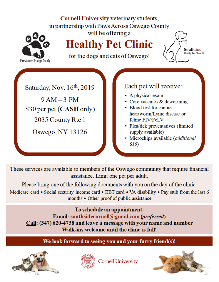 pet clinic