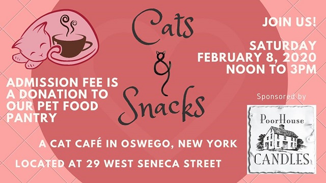cats and snacks feb