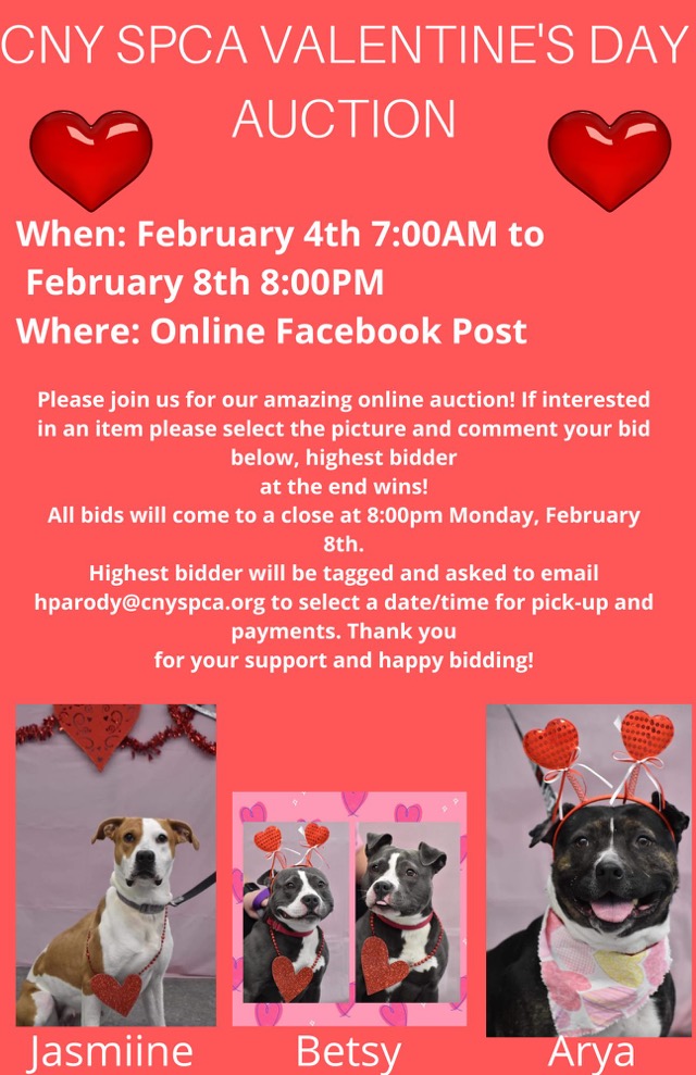 cnyspca