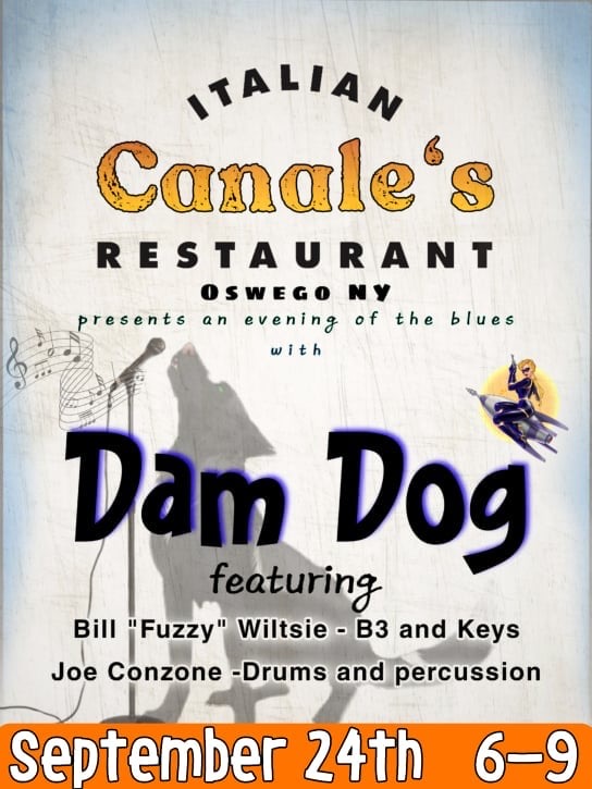 damdogcanale