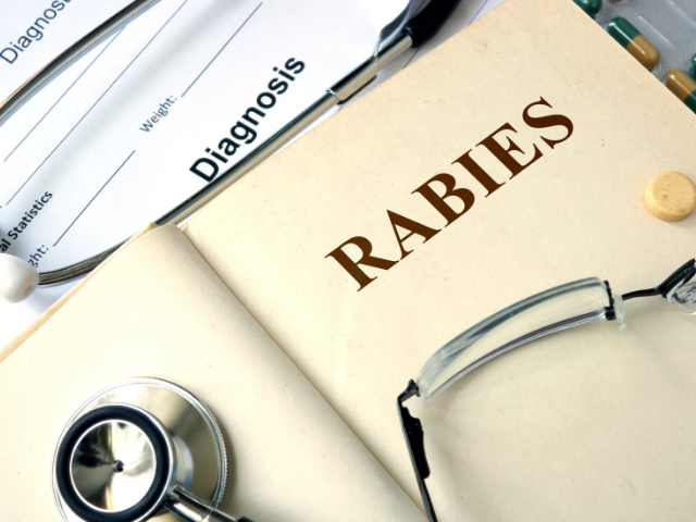rabies