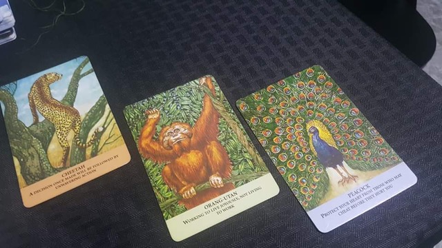 oraclecards