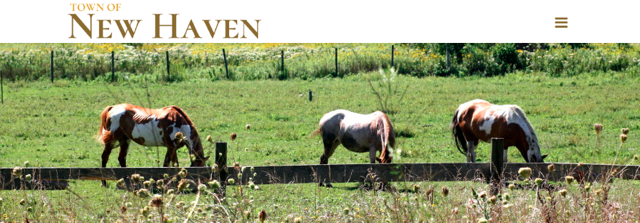 townofnewhaen
