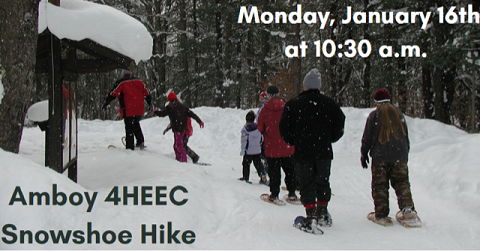 Amboy Guided Snowshoe Hike