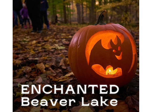 Beaver Lake Enchanted Beaver Lake 10.19 10.22