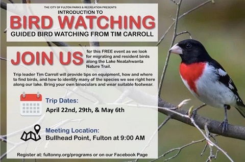Fultonbirdwatching