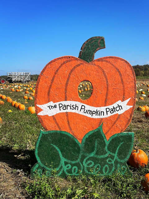 Little Salmon Farm U Pick Pumpkins Parish Oct 2023