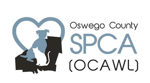 SPCA