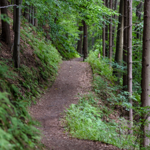 Sterling Nature