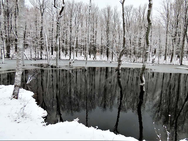 1st day hike sterling nature center 1.1.2024