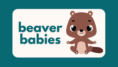 beaver babies beaver lake 6.27.2024