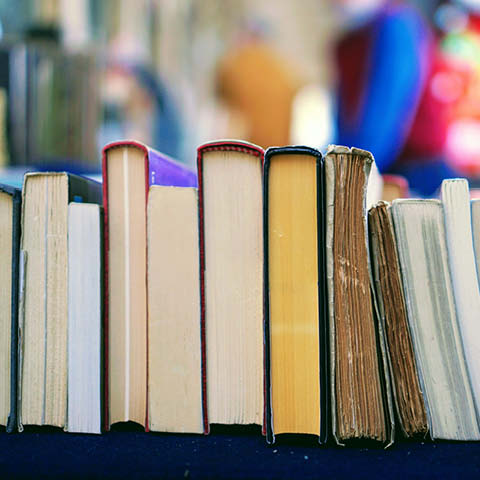 between covers williamstown library book club second wednesdays 2024