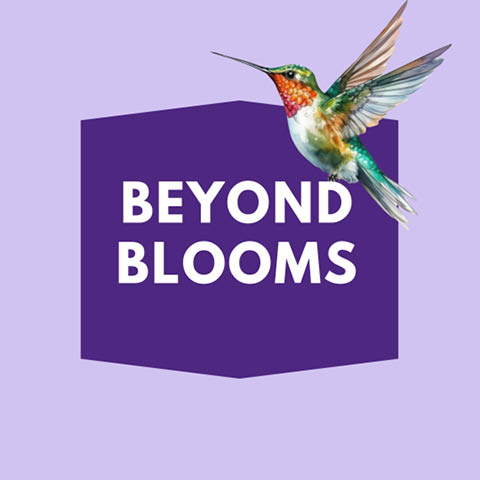 beyond blooms beaver lake 11.20.2024