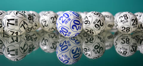 bingo night 2024