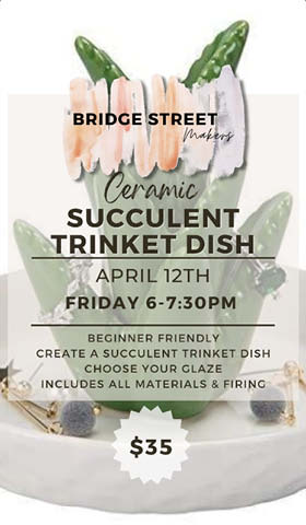 bridge st makers succulents 4.12.2024