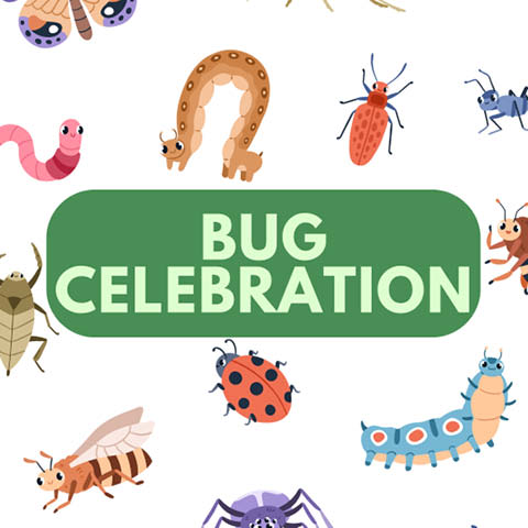 bug celebration beaver lake 7.13.2024