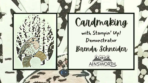 cardmaking with brenda schneider ainsworth library sandy creek 2.9.2024