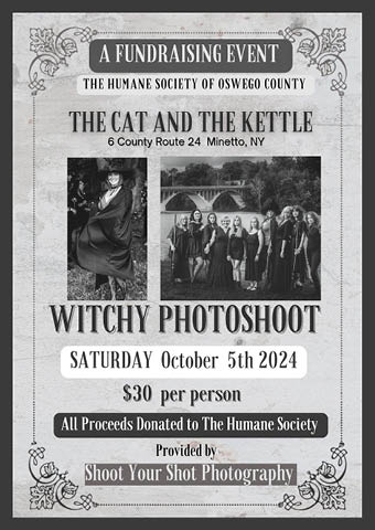 cat kettle witchy photo shoot fundraiser humane society 10.5.2024