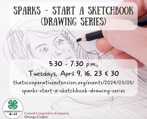 cce oswego 4 h sparks club drawing series 4.9 30.2024
