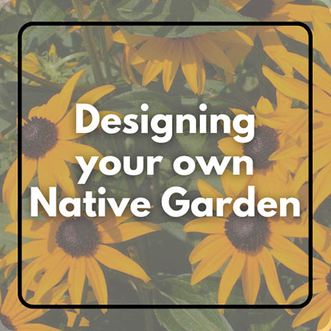 designing native gardens beaver lake march 2024