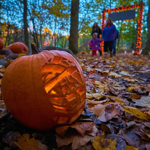 enchanted beaver lake october 2024