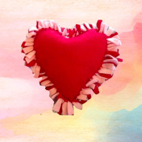 family take make no sew heart pillow fpl 2.12.2024