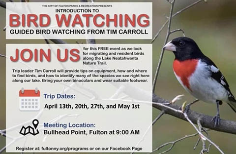 guided bird watching bullhead point tim carroll 4.132027.2024 and 5.1.2024