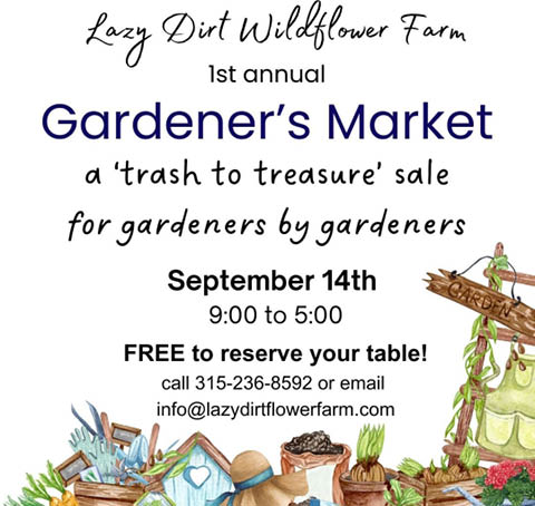 lazy dirt wildflower farm gardeners market 9.14.2024