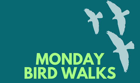 monday bird walks beaver lake april may june 2024