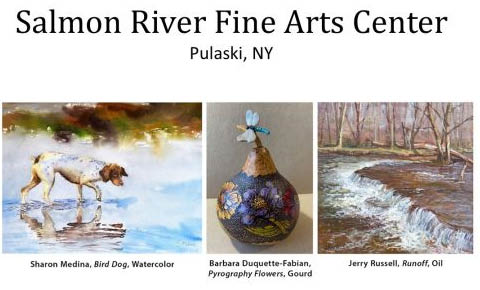 salmon river fine arts center art exhibit opening 3.8.2024
