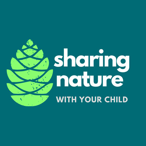 sharing nature with child beaver lake 1.24.2024 and 2.7.2024
